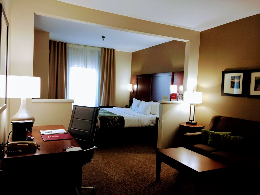Comfort Suites Johnson City, Johnson City Comfort Suites Johnson City, Johnson City