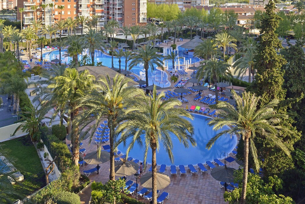 Sol PelÃcanos Ocas, Benidorm Sol PelÃcanos Ocas, Benidorm