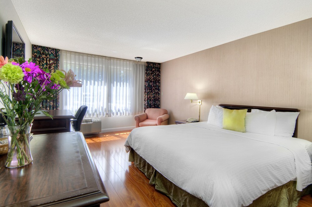 County Inn, Mountain View County Inn, Mountain View