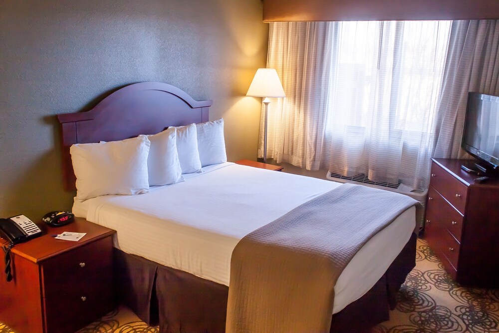 Best Western Elko Inn - Tap to explore photos