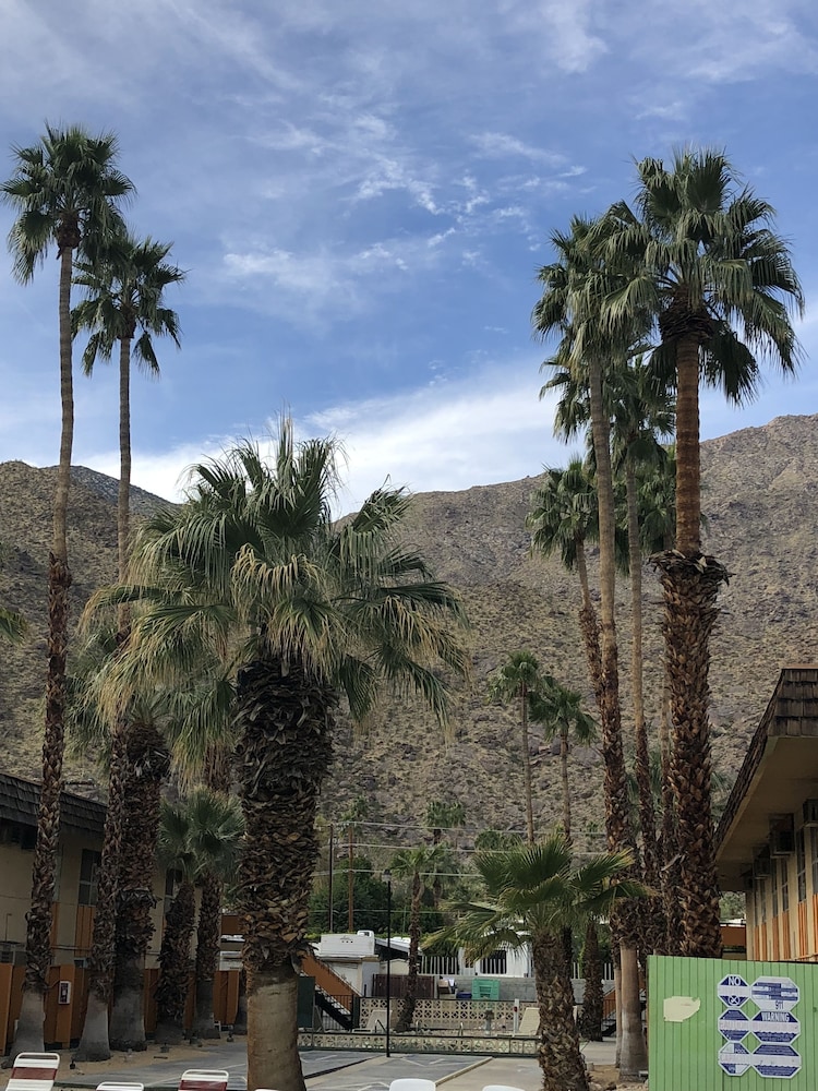 Desert Lodge, Palm Springs Desert Lodge, Palm Springs