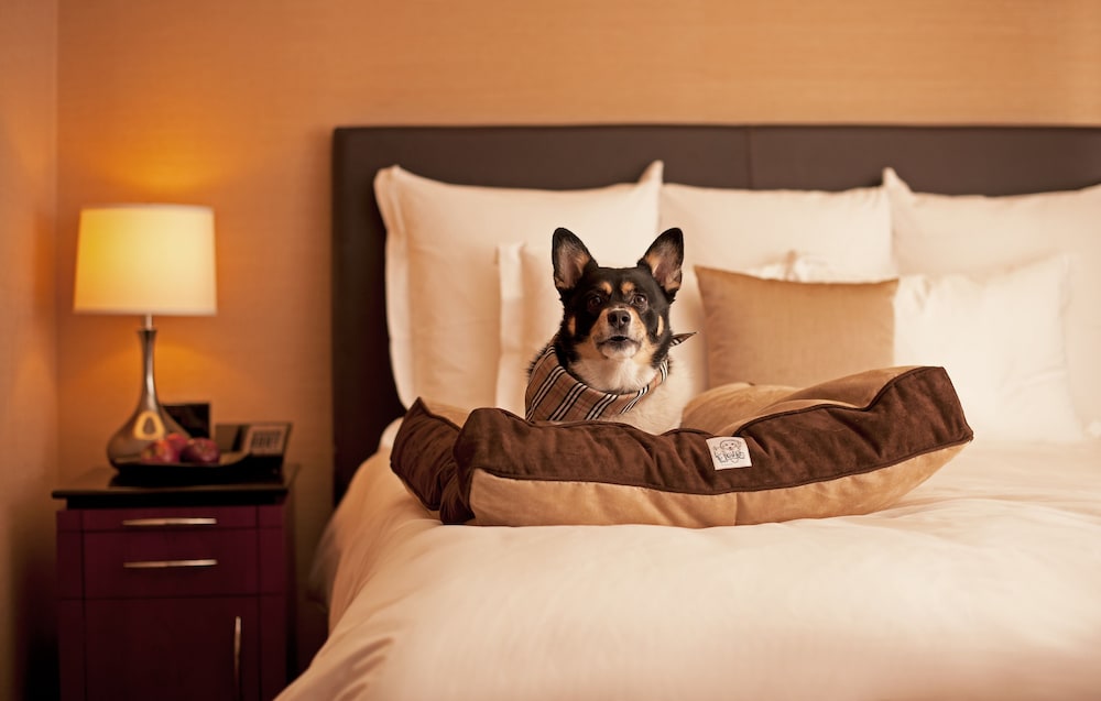Royal Palms Resort and Spa in the Unbound Collection by Hyatt, Scottsdale Royal Palms Resort and Spa in the Unbound Collection by Hyatt, Scottsdale