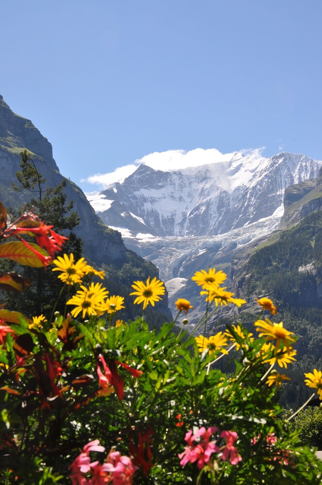 Gletschergarten, Grindelwald Gletschergarten, Grindelwald