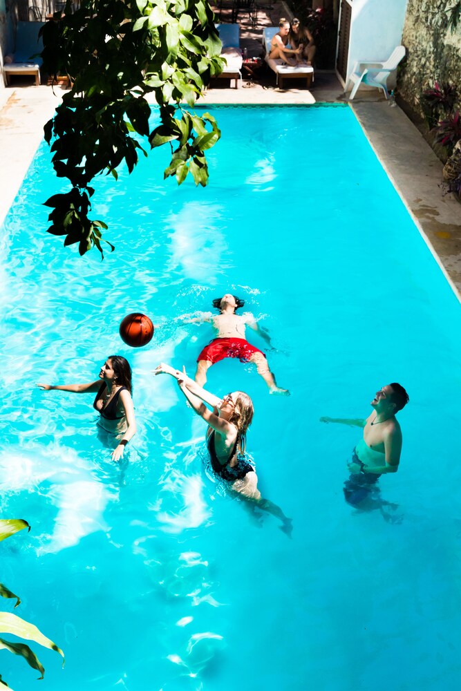 Siesta Fiesta Hostel, Merida Siesta Fiesta Hostel, Merida