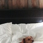 Pet-Friendly