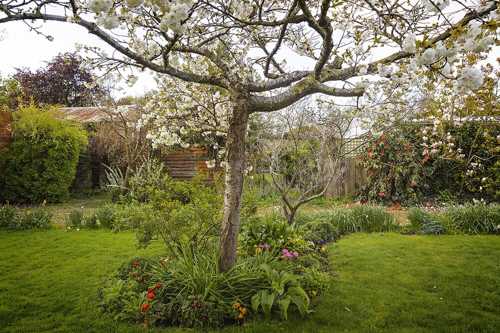 The Racecourse Inn, Victoria The Racecourse Inn, Victoria