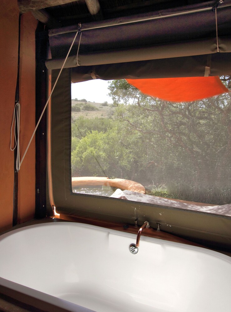 Amakhala Safari Lodge-Amakhala Game Reserve, Eastern Cape Amakhala Safari Lodge-Amakhala Game Reserve, Eastern Cape
