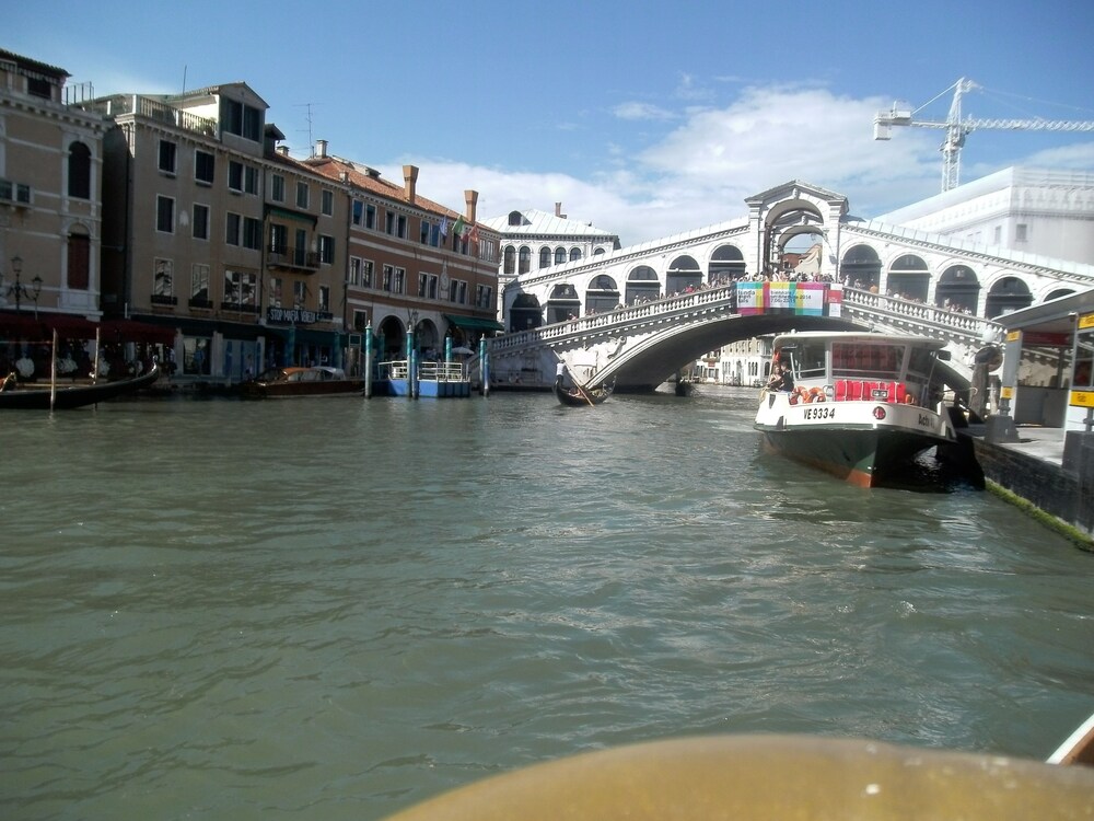 Venice Star, Venice Venice Star, Venice