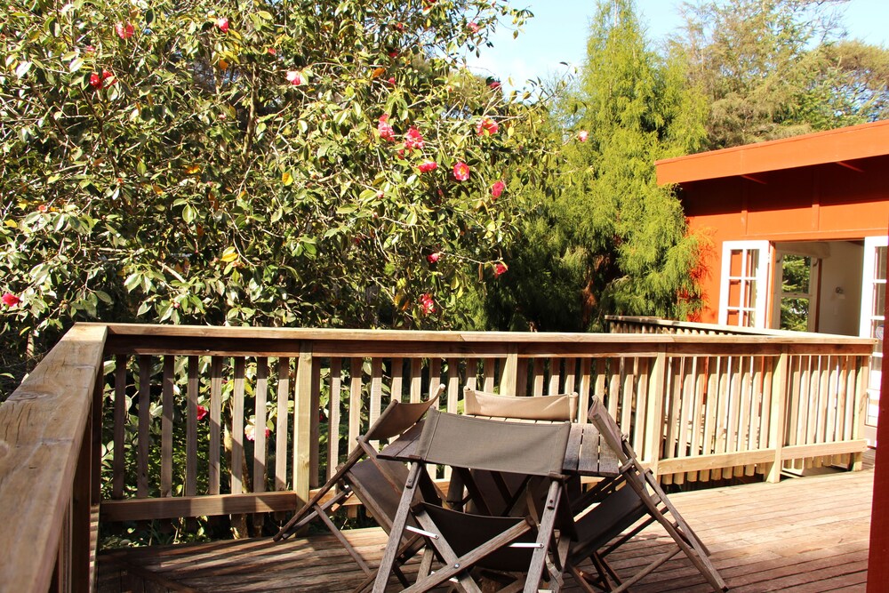 The Coromandel Treehouse, Coromandel The Coromandel Treehouse, Coromandel