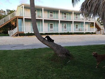 Bonefish Bay Motel, Marathon Bonefish Bay Motel, Marathon