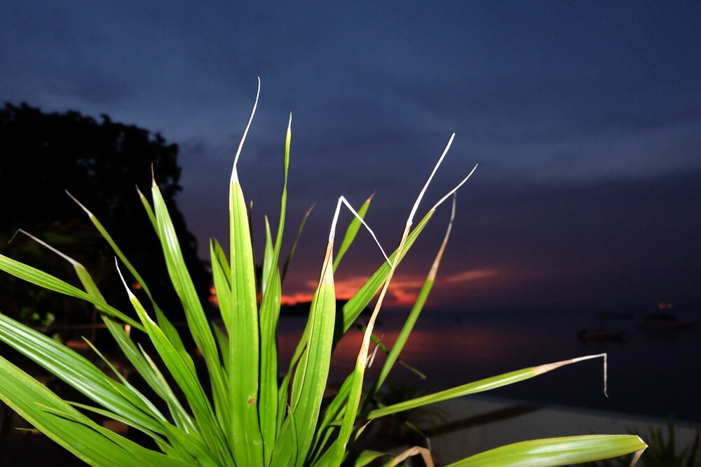 The Boardroom Beach Bungalows, Koh Samui The Boardroom Beach Bungalows, Koh Samui