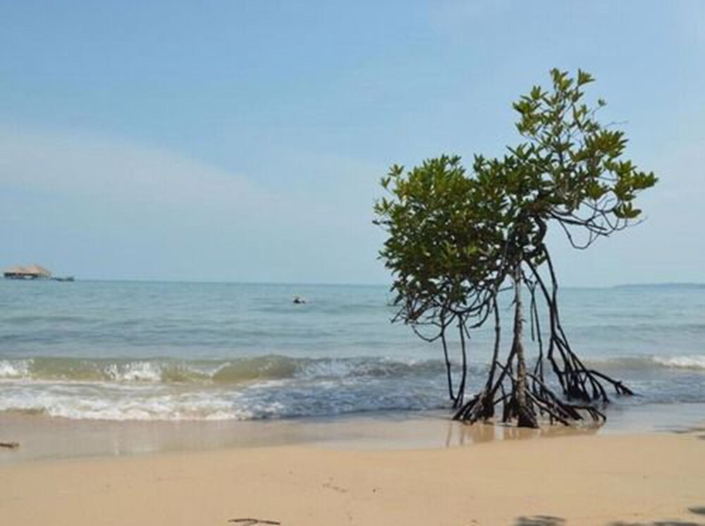 Palm Beach Bungalow Resort, Koh Kong Palm Beach Bungalow Resort, Koh Kong