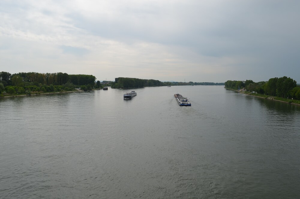 Zwei Raben Pension, Mainz Zwei Raben Pension, Mainz
