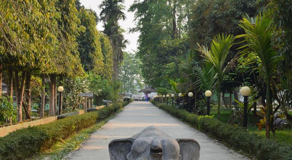 Hotel Hermitage, Sauraha Hotel Hermitage, Sauraha