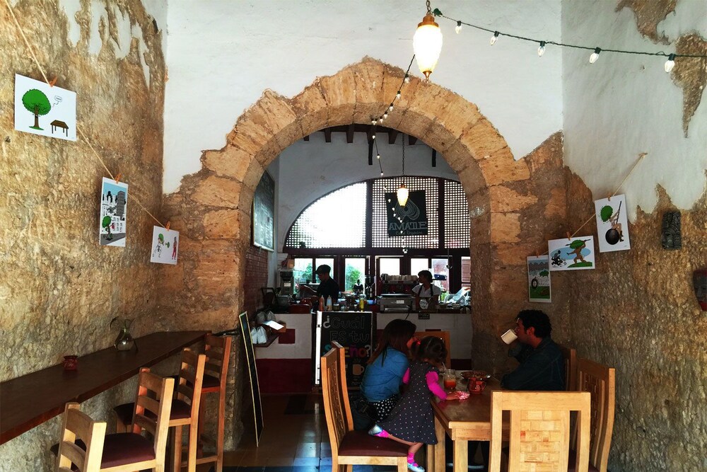 Amatle Cafe Organico & Hostal, Monterrey Amatle Cafe Organico & Hostal, Monterrey