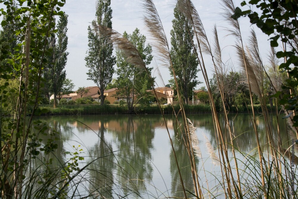 Adonis Arles by Olydea, Arles Adonis Arles by Olydea, Arles
