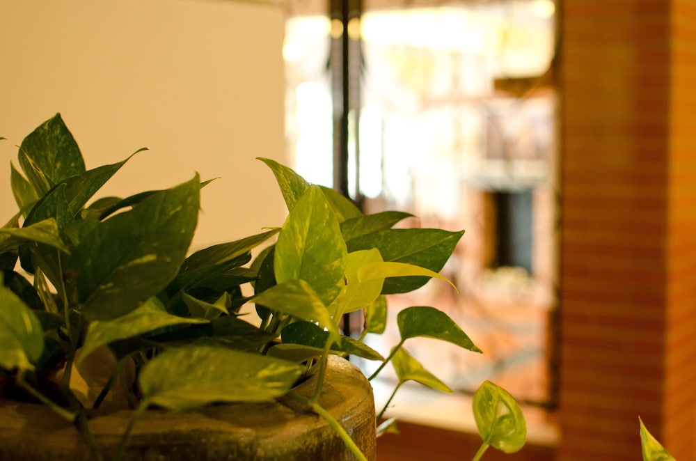MyDream Homestay, Ipoh MyDream Homestay, Ipoh