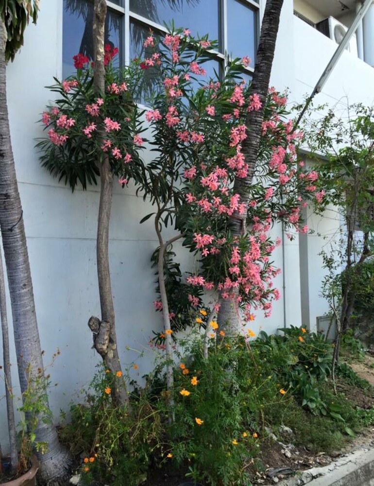 Ittipol Apartment, Pak Kret Ittipol Apartment, Pak Kret
