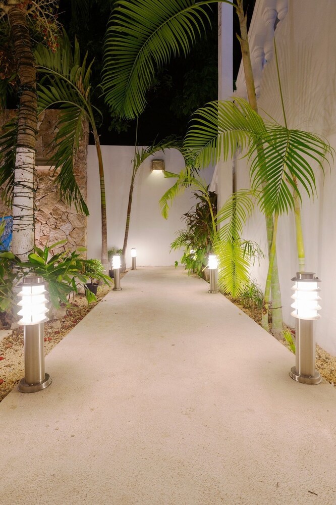 Hotel San Vicente, Playa del Carmen Hotel San Vicente, Playa del Carmen