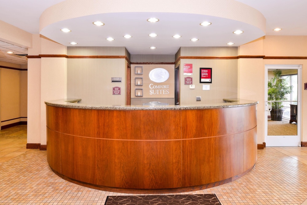 Comfort Suites Mount Vernon Jefferson Illinois 6 7 Price