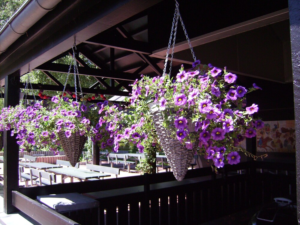 Ribe Byferie Resort, Ribe Ribe Byferie Resort, Ribe