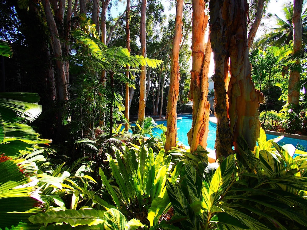 Imagine Drift Palm Cove, Cairns Imagine Drift Palm Cove, Cairns