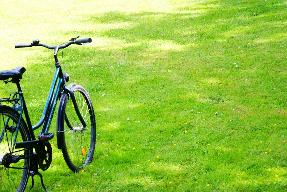 Hotelpension Margrit Hotelpension Margrit