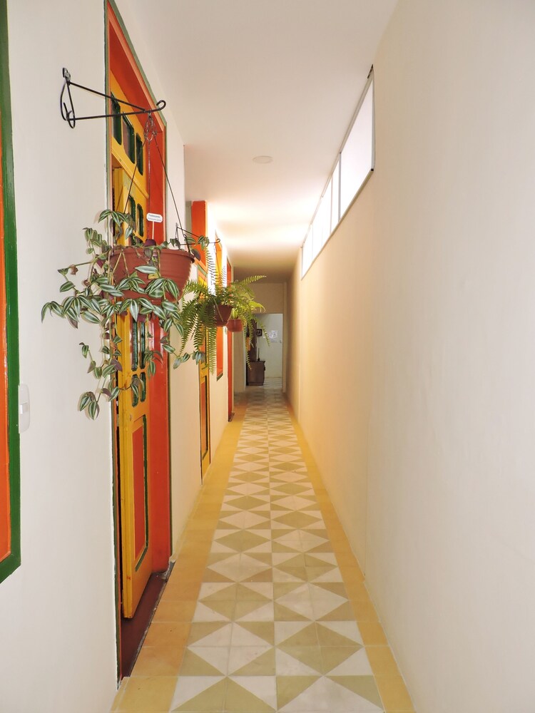 Golden Frog Mountain Hostel, Manizales Golden Frog Mountain Hostel, Manizales