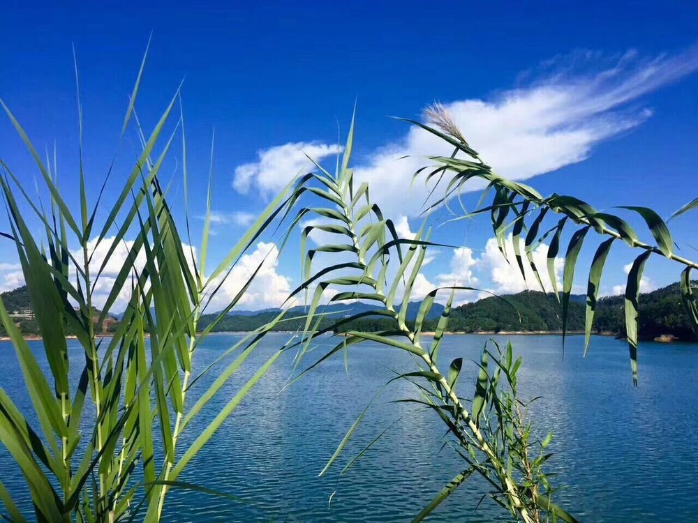Romaine Vacation Apartment, Hangzhou Romaine Vacation Apartment, Hangzhou