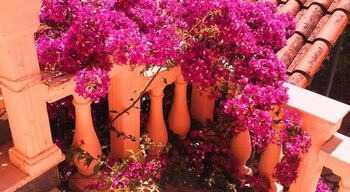 Makris Apartments, Corfu Island Makris Apartments, Corfu Island