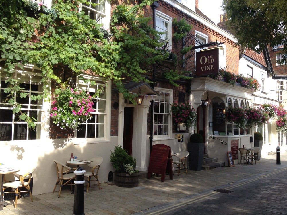 The Old Vine, Winchester The Old Vine, Winchester