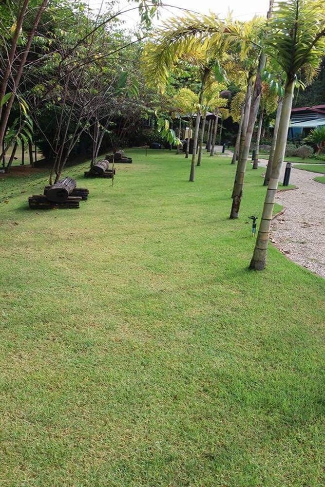 Mine Boxes Resort, Mae Chan Mine Boxes Resort, Mae Chan