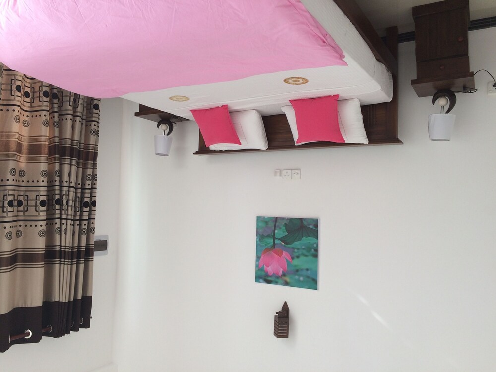 Lo hostel, Weligama Lo hostel, Weligama