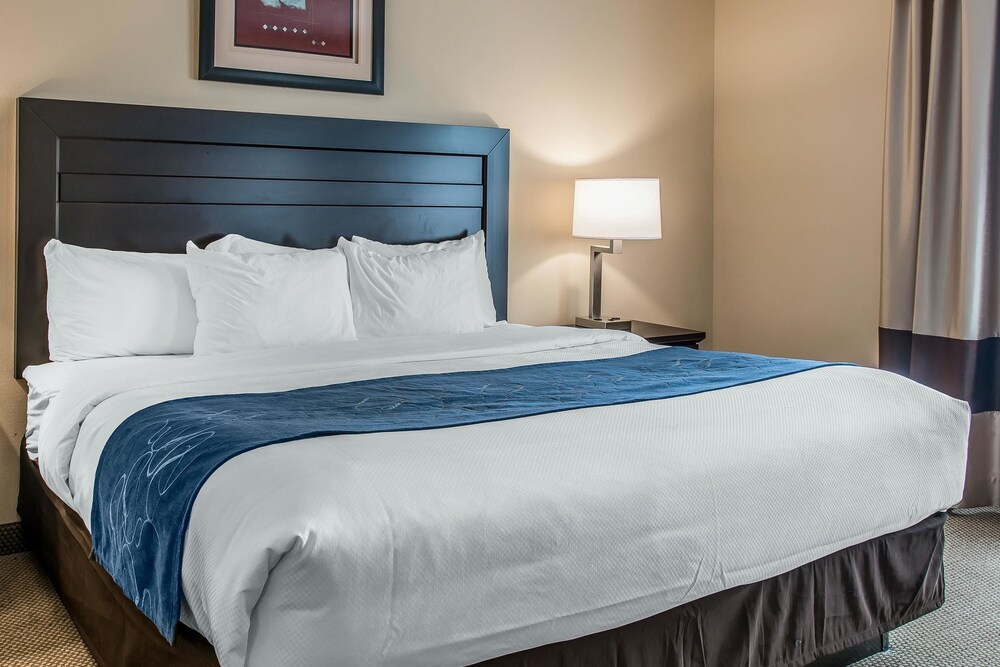 Comfort Suites, South Bend Comfort Suites, South Bend