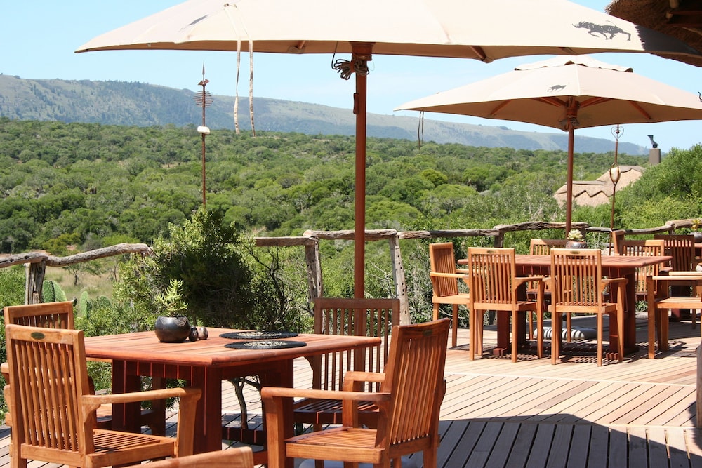 Pumba Private Game Reserve, Port Elizabeth Pumba Private Game Reserve, Port Elizabeth