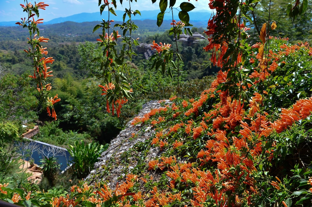 Phu Chaisai Mountain Resort, Mae Chan Phu Chaisai Mountain Resort, Mae Chan