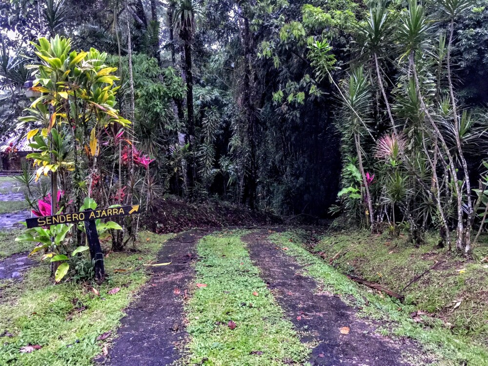 Hotel Kokoro Arenal, La Fortuna Hotel Kokoro Arenal, La Fortuna