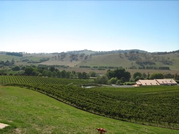 Turners Vineyard Motel and Function Centre, New South Wales Turners Vineyard Motel and Function Centre, New South Wales