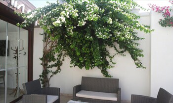 Asmin Hotel Bodrum, Bodrum Asmin Hotel Bodrum, Bodrum