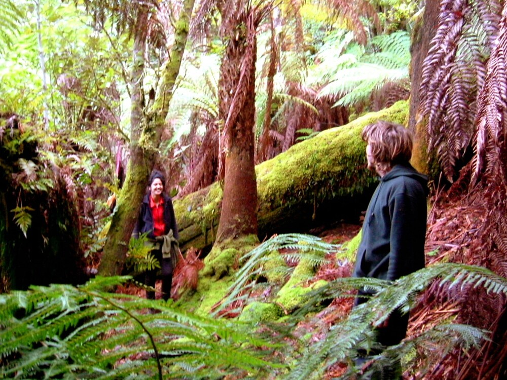 Huon Bush Retreats, Hobart Huon Bush Retreats, Hobart