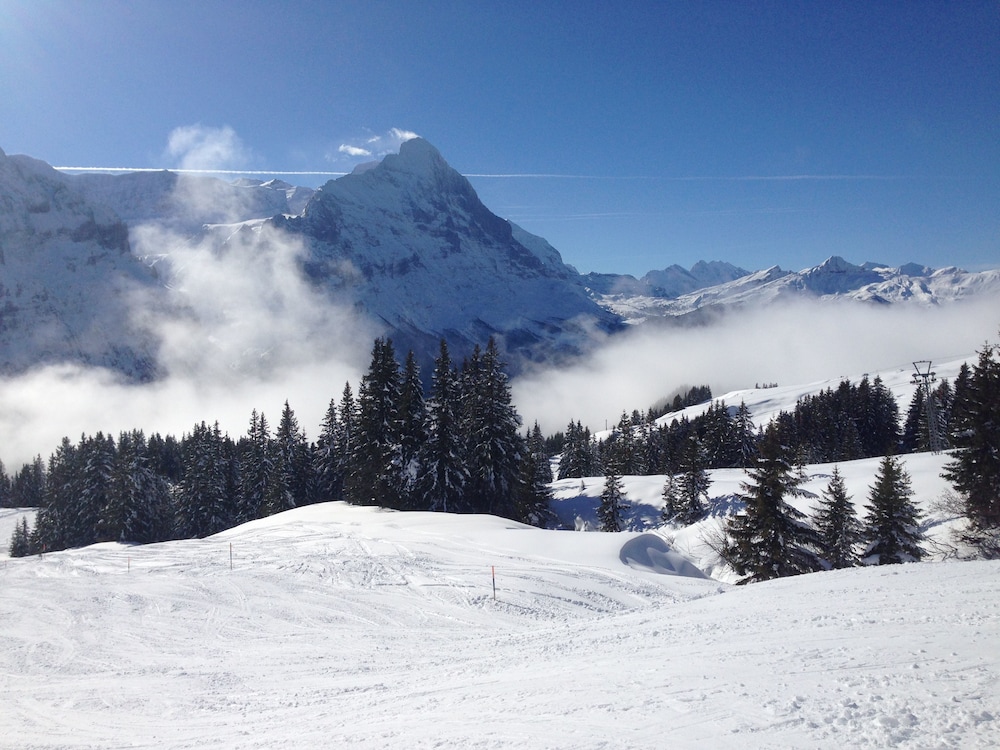 Kirchbühl Apartments, Grindelwald Kirchbühl Apartments, Grindelwald