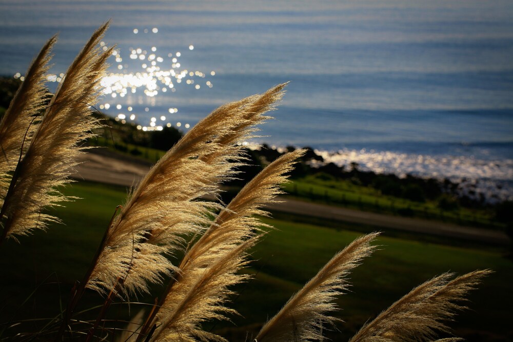 Waoku Lodge, Hamilton Waoku Lodge, Hamilton