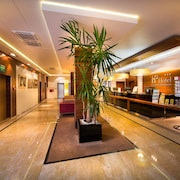 普拉維斯卡酒店