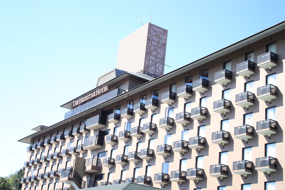 The Hedistar Hotel Narita, Tokyo-Narita The Hedistar Hotel Narita, Tokyo-Narita