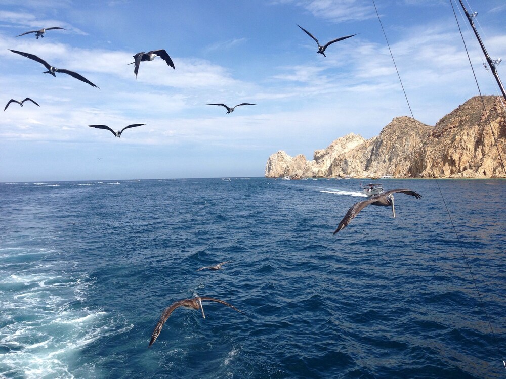 Hyatt Place Los Cabos, Los Cabos Hyatt Place Los Cabos, Los Cabos