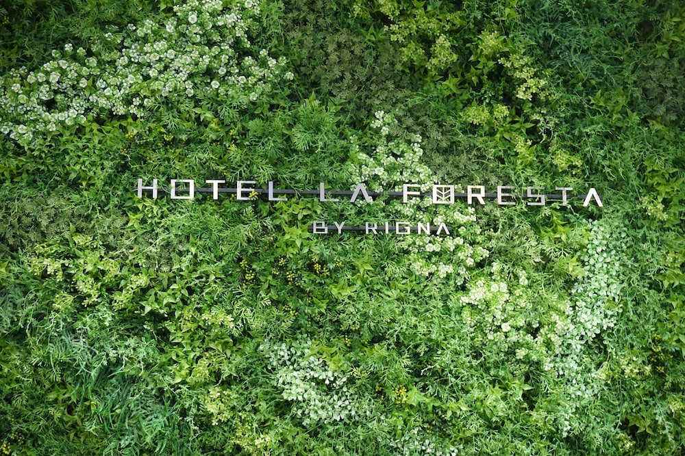 HOTEL LA FORESTA BY RIGNA, Fukuoka HOTEL LA FORESTA BY RIGNA, Fukuoka
