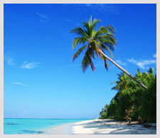Maldives Island and Beach Holidays | Expedia.co.in
