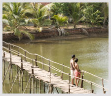 Goa Romantic Getaways | Expedia.co.in
