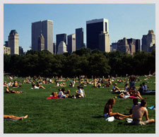 New York Summer Holidays | Expedia.co.in