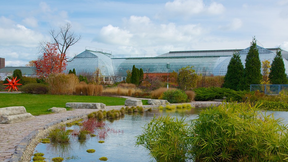 Garfield Park Conservatory in Chicago, Illinois Expedia
